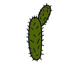  Vector Green Cactus plant illustration
