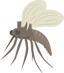 Fototapeta premium Mosquito flying spreading malaria zika dengue and other diseases