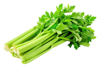 Fresh green celery stalks with leaves isolated on white background, ideal for healthy eating, nutrition, and culinary concepts.