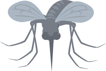 Grey mosquito is preparing to bite and spread malaria with its wings open