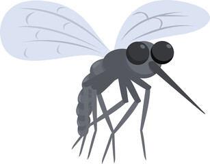 Big grey mosquito is spreading malaria with its proboscis