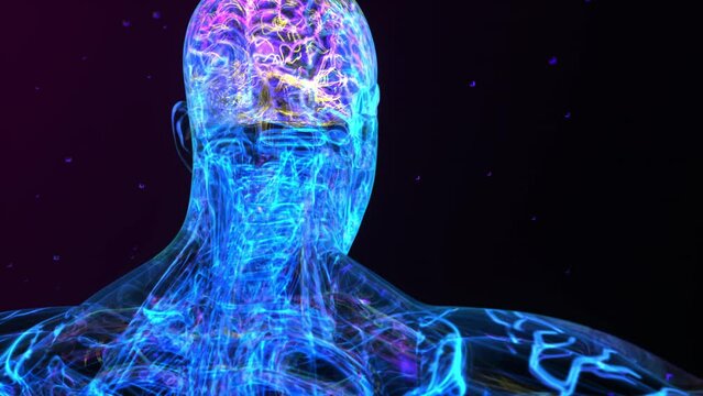 Abstract medical Xray of electrical signals of the nervous system