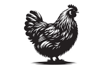 Hen silhouette vector isolated on a white background