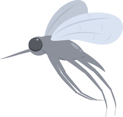 Grey mosquito flying and spreading malaria virus