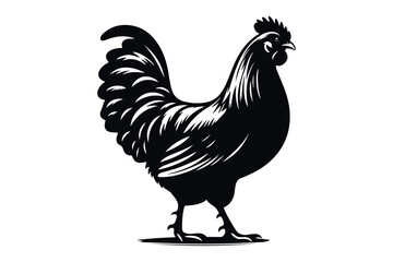 Hen silhouette vector isolated on a white background