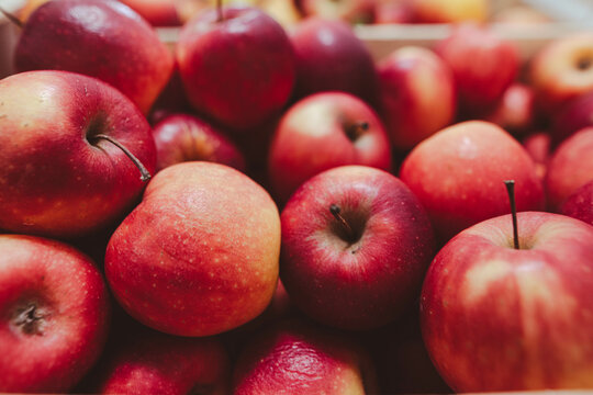 Close-up of organic apples on the shelves of a supermarket