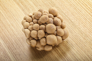 Raw asiam delicacy mushroom Shimeji