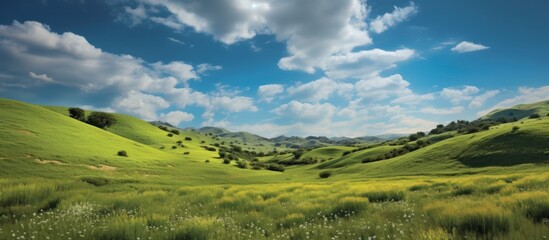 Obraz premium Rolling Green Hills Under a Blue Sky