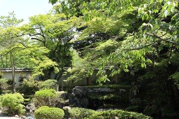 Obraz premium Japanese garden at Enman-in Temple in Otsu, Shiga, Japan