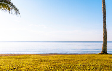 Beautiful wide paradise beach with golden sand and palm leaves in blur. Summer natur banner