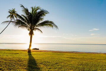 palm trees at sunset,Beautiful wide paradise beach with golden sand and palm leaves in blur. Summer natur banner