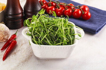 Micro green plants for cooking