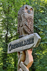 Zum Oberwaldsee