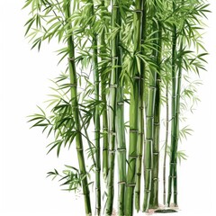 Chinese Traditional Line Art textiles Illustration Drawing