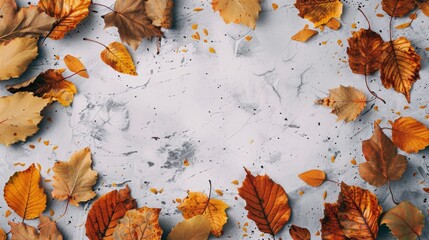 Top view of autumn leaves on white background with space for text in black board