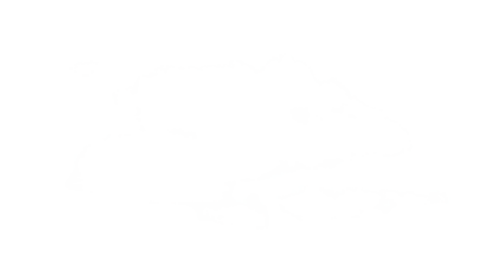 Cloud Isolated,Abstract Sky with Fluffy White Cloudy,Nature illustratio elements for Spring,Summer,Group of Smoke,Bubllue Cloud,Cloud Comping Shape