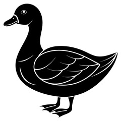 Beautiful duck silhouette vector illustration.