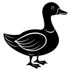 Beautiful duck silhouette vector illustration.