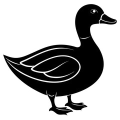 Beautiful duck silhouette vector illustration.