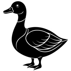 Beautiful duck silhouette vector illustration.