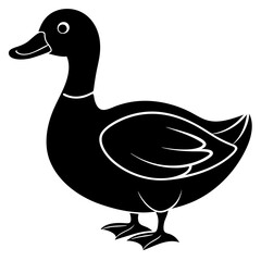 Beautiful duck silhouette vector illustration.