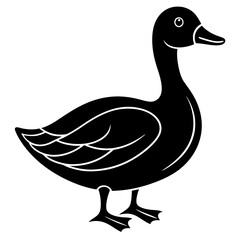 Beautiful duck silhouette vector illustration.