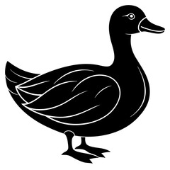 Beautiful duck silhouette vector illustration.