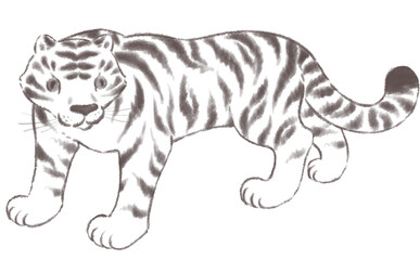 こちらを見つめるホワイトタイガー