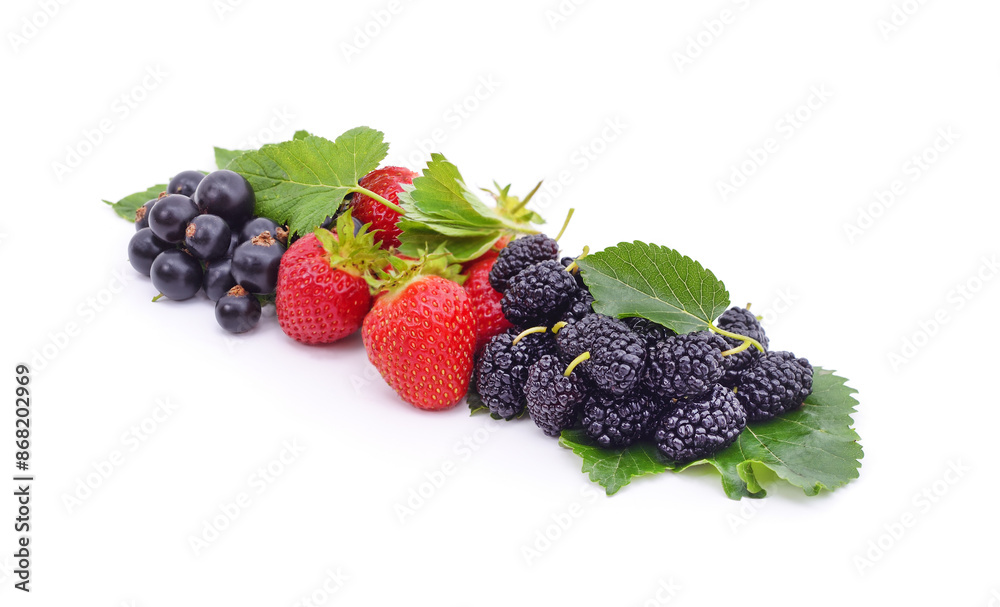 Wall mural berries currants with strawberries and mulberries.