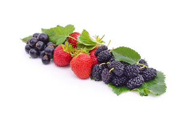 Berries currants with strawberries and mulberries.