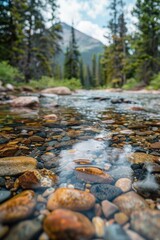 A clear mountain stream with pebbles, with a soft background of tall pines and rugged terrain.
