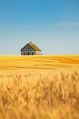 A farmhouse at the edge of a wheat field, with a softly blurred background of golden crops and a clear blue sky. 