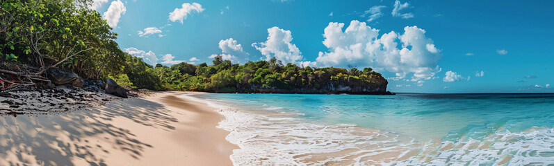 Fototapeta premium beach with palm trees background, sea background 