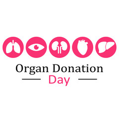 World Organ Donation Day, August 13, Lungs, Kidneys, Liver, Eye and Heart on a white background in blue circles. Vector illustration