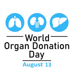 World Organ Donation Day, August 13, Lungs, Kidneys and Liver on a white background in blue circles. Vector illustration