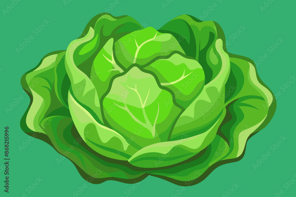 Poster Green cabbage isolated on white background