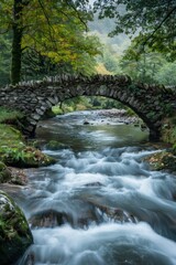 A scenic bridge spanning a flowing river, with a soft background of a forest.