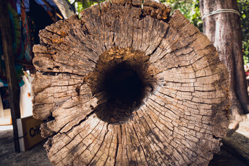 Tree trunk with dark nature hole and textured bark © romaset