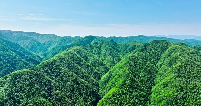 Aerial view of green forest and mountain nature landscape in summer. Mountain range and sky clouds nature background.
