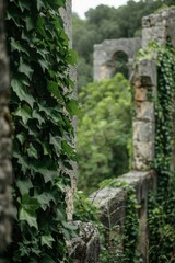 Obraz premium Ancient ruins partially covered with ivy, with a softly blurred background of a green landscape
