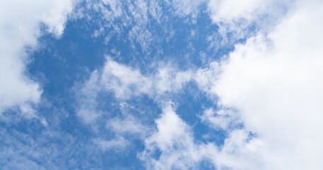 Obraz premium 見上げると綺麗な青空