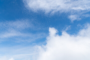 見上げると綺麗な青空