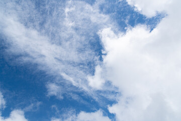 見上げると綺麗な青空