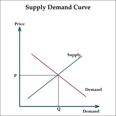 Vector illustration of supply demand curve. Infographic template