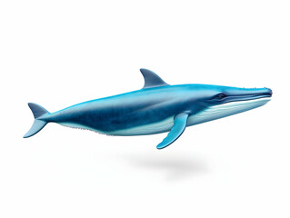 Obraz premium Blue Whale in white background, blue Whale isolated Raster object, 3D blue whale illustration