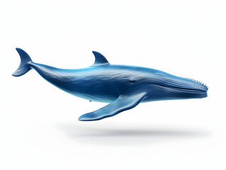 Fototapeta premium Blue Whale in white background, blue Whale isolated Raster object, 3D blue whale illustration