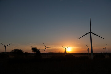 Obraz premium Suggestive image of wind farm with silhouette standing out at sunset