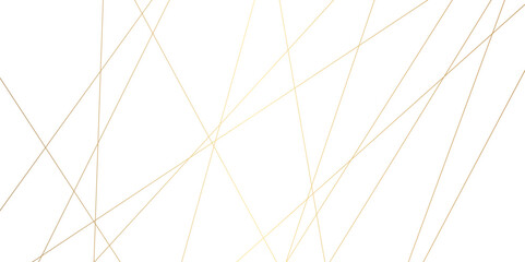Obraz premium White color technology concept geometric line vector background. Abstract background with golden lines. White geometric golden lines. Abstract background vector Illustration . futuristic business.