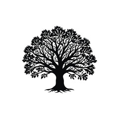 Fototapeta premium oak tree hand drawn vector illustration