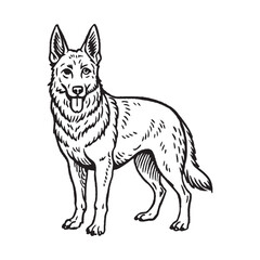 German Shepherd hand drawn vector illustration